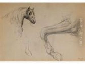 Etude De Cheval by Rosa Bonheur