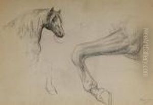 Etude De Cheval (tete En Anterieur) by Rosa Bonheur