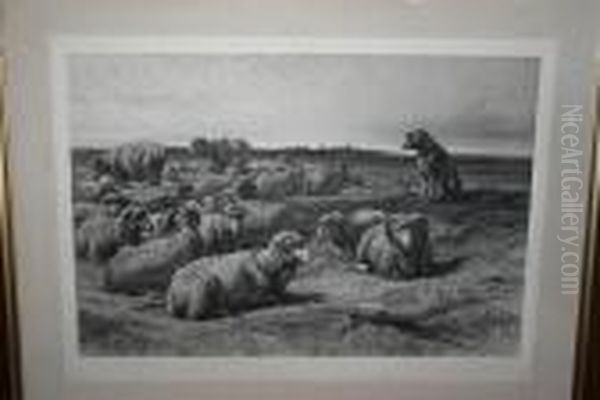 Changing Pasture - view 1