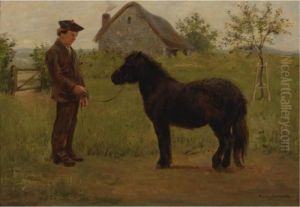 Le Dressage Du Pony