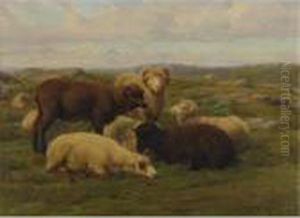 Sheep In A Meadow by Rosa Bonheur