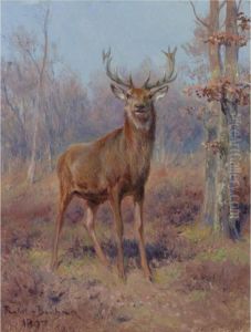 Young Stag In A Wooded Landscape