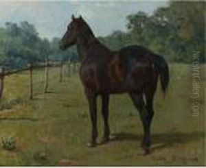 A Bay Horse In A Paddock by Rosa Bonheur