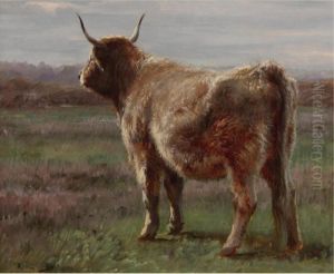 A Longhorned Wooly Cow Seen From Behind