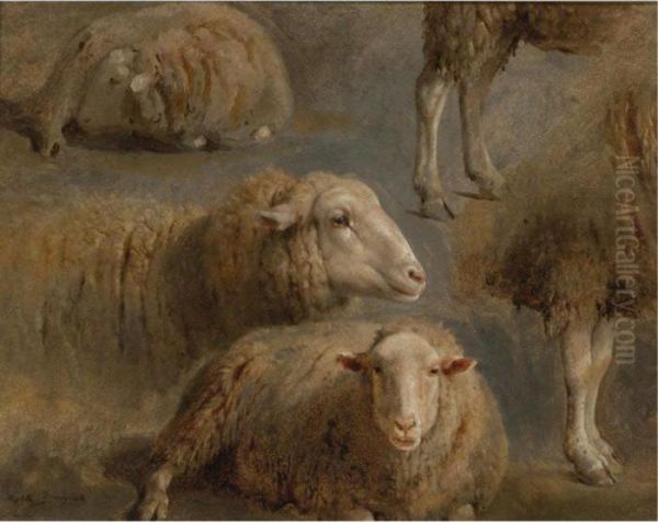 A Study Of Sheep - view 1