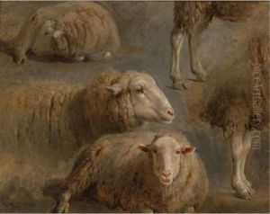 A Study Of Sheep by Rosa Bonheur