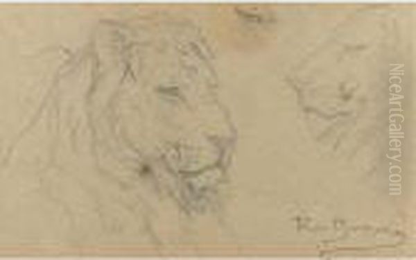 Studies Of A Lion's Head - view 1