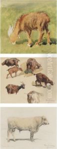 Study Of A Goat, Goats Grazing And Study Of A Bull Seen From The Side (three Works) by Rosa Bonheur