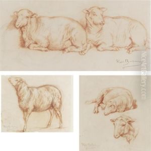 Sheep Resting, A Single Sheep And Studies Of A Sheep (three Works) by Rosa Bonheur