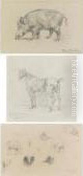 A Boar, Two Horses And Studies Of A Ram (three Works) - view 1