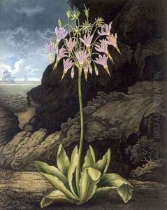 The American Cowslip by Henderson, Peter Charles