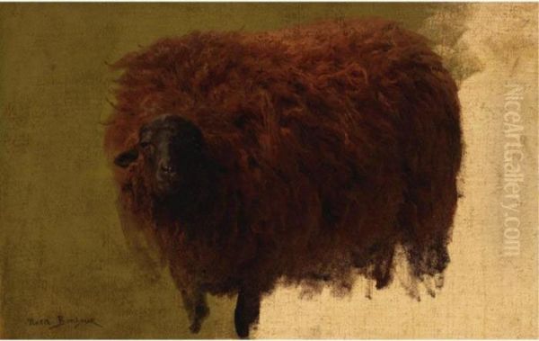 Large Wooly Sheep (wether) - view 1
