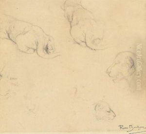 A Lioness - Studies by Rosa Bonheur