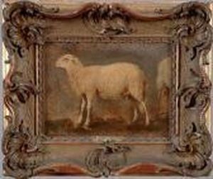 Etude De Mouton by Rosa Bonheur