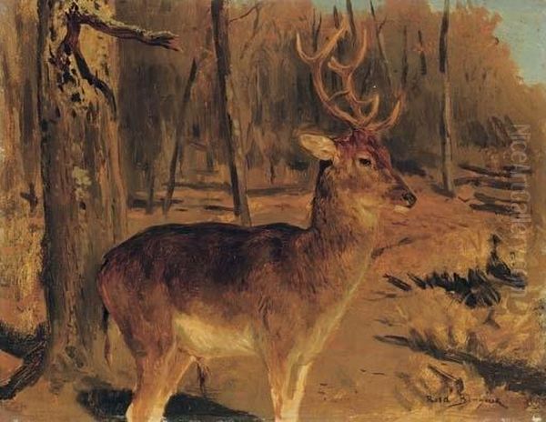 Stag In The Forest - view 1