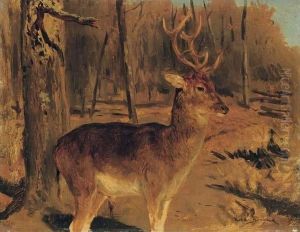 Stag In The Forest by Rosa Bonheur