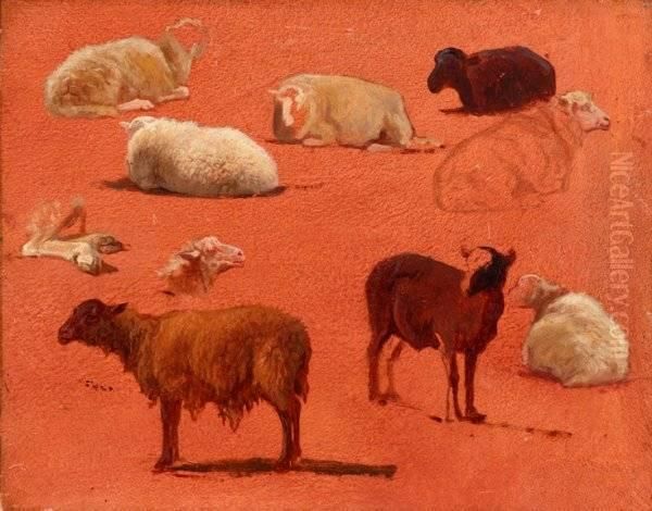 Untitled (sketches Of Sheep) - view 1