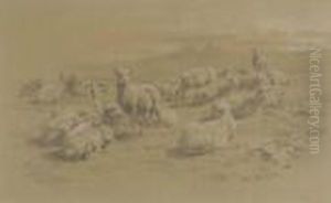 A Herd Of Resting Sheep by Rosa Bonheur