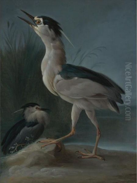 Herons In A Landscape - view 1