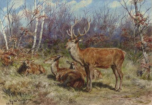 A Buck And Doe In The Forest - view 1