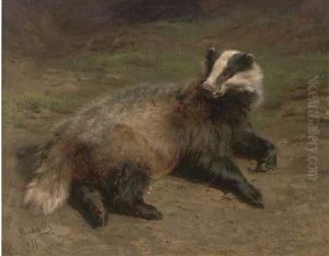 A Resting Badger A Resting Badger