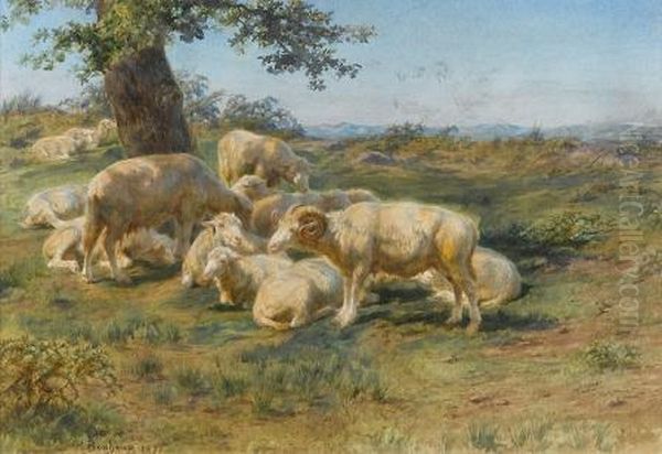 Sheeps In The Pasture - view 1
