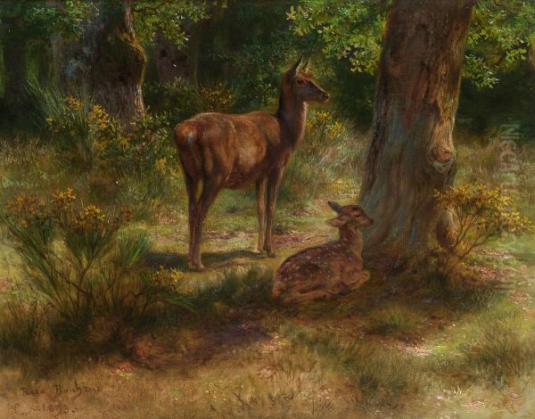 Deer And Fawn In A Wood - view 1