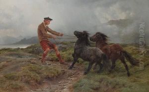 A Ghillie And Two Shetland Ponies In A Misty Landscape A Ghillie And Two Shetland Ponies In A Misty Landscape