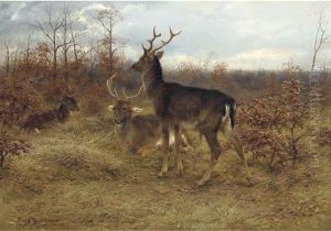 Three Stags In A Woodland