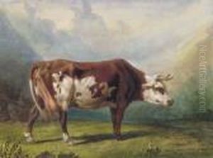 Vache