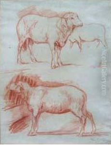 Deux Etudes De Moutons by Rosa Bonheur