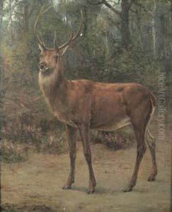 "le Cerf".