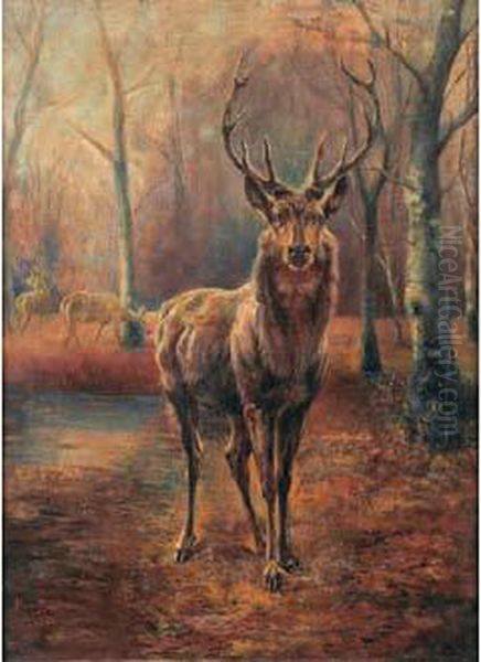 Le Cerf - view 1
