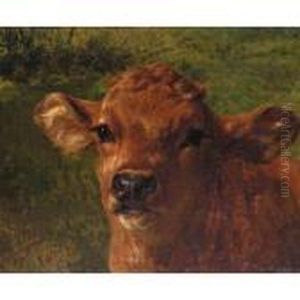Tete De Veau by Rosa Bonheur