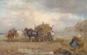 Loading Seaweed On The Beach