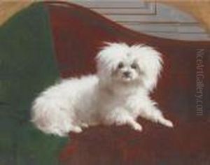 A Maltese by Rosa Bonheur