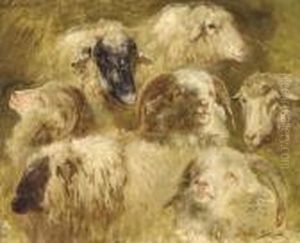 Tetes De Moutons Et Beliers by Rosa Bonheur
