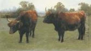 Taureaux Dans Un Pre by Rosa Bonheur