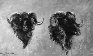 Etude De Tetes De Boucs by Rosa Bonheur