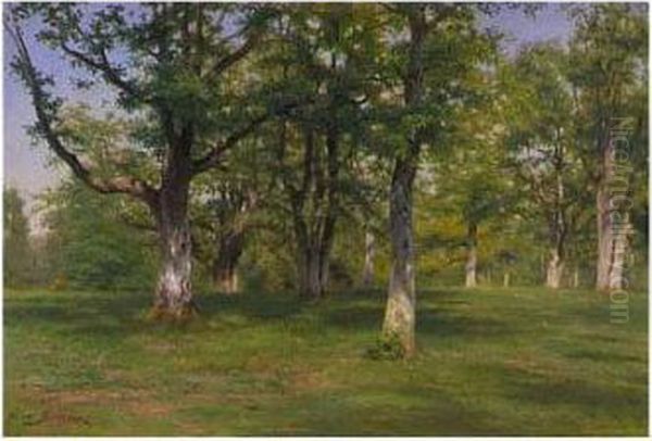 Foret De Fontainebleau: Le Printemps Au Bois - view 1