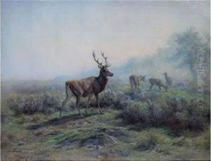 The Deer, Morning Effect (les Cerfs, Effet Du Matin) by Rosa Bonheur