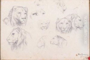 A Study Of A Lion's Head by Rosa Bonheur