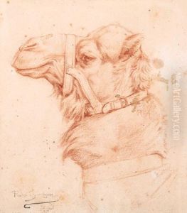 The Head Of A Camel by Rosa Bonheur