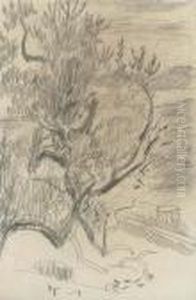 Le Cannet; by Pierre Bonnard