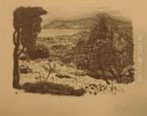 Paysage Du Midi by Pierre Bonnard