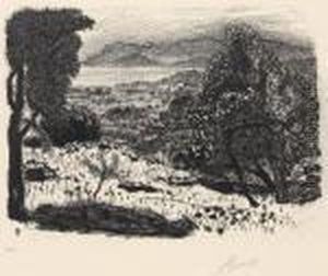 Paysage Du Midi by Pierre Bonnard