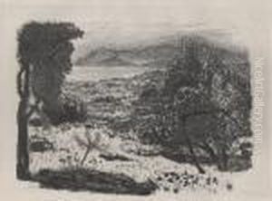 Paysage Du Midi, 
Planche Pour L'album Maitres Et Petits Maitres D'aujourd'hui by Pierre Bonnard