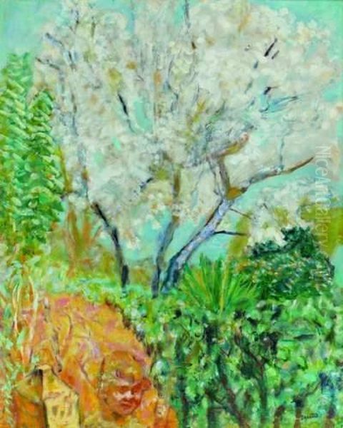 Les Amandiers En Fleurs, Cactus Etfigure D'enfant - view 1