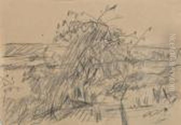 Paysage - view 1