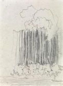 Groupe De Pins by Pierre Bonnard